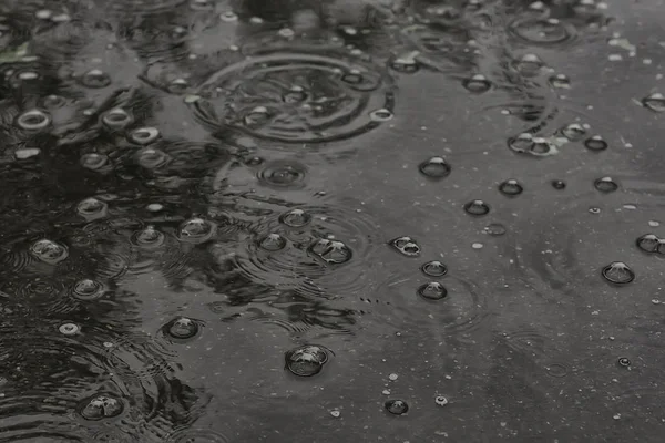 Fundo Poça Chuva Círculos Gotas Uma Poça Textura Com Bolhas — Fotografia de Stock