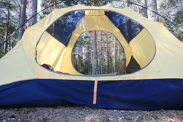tourist tent inside summer forest / summer holidays in the forest, tent inside view, camping