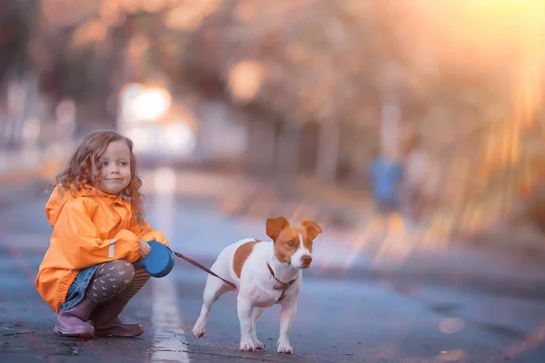 Niña Con Gato Perro Russell Terrier Niño Amistad Infancia Mascota — Foto de Stock