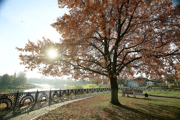 Скамейка Осеннем Парке Пейзаж Сезонный Ландшафтный Отдых Осеннем Одиноком Парке — стоковое фото