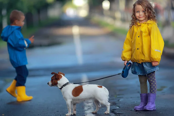 子供の犬の秋 2人の子供 秋の公園で小さな犬と一緒に歩く男の子と女の子 — ストック写真