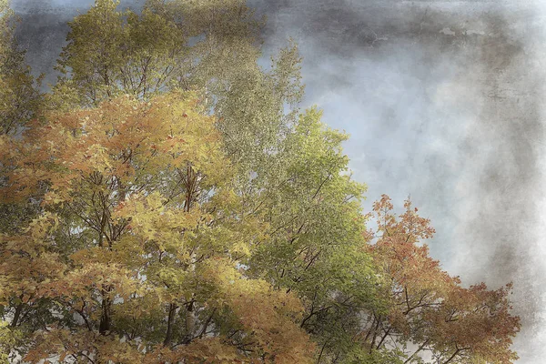 landscape in the autumn park / concept nature seasonal landscape season, autumn, forest, trees Indian summer