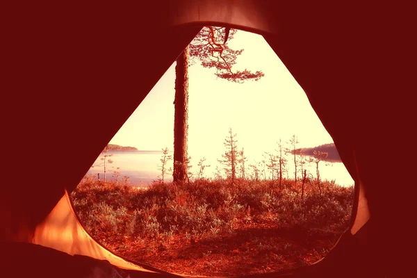 Tienda Campaña Turística Dentro Del Bosque Verano Vacaciones Verano Bosque — Foto de Stock