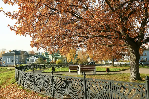 Autumn Landscape Park Seasonal Yellow Landscape Sunny Park Fallen Leaves — Stock Photo, Image