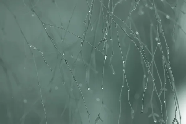 Chuva Gotas Conceito Tempo Molhado Gotas Abstratas Jatos Água Chuva — Fotografia de Stock