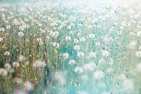 夏の雨濡れガラス 窓の外の雨の日に抽象的な背景風景ぼやけた背景 — ストック写真