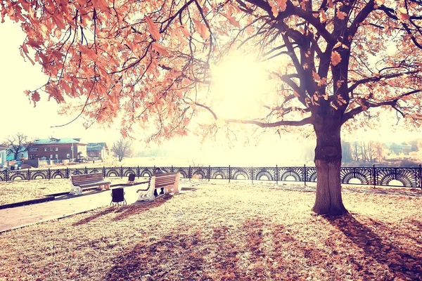 模糊的秋季背景公园 黄色壁纸 秋季森林 季节性景观的概念 — 图库照片