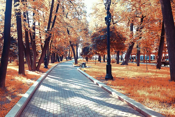 Landschaft Herbstpark Konzept Natur Saisonale Landschaft Saison Herbst Wald Bäume — Stockfoto