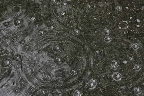 นหล งสระน าฝน วงกลมและลดลงในสระน อเย ฟองในน ฝนฤด ใบไม — ภาพถ่ายสต็อก