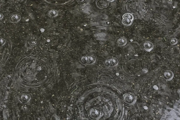 Bakgrund Pöl Regn Cirklar Och Droppar Pöl Textur Med Bubblor — Stockfoto