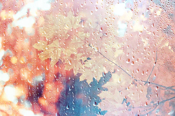 Höst Glas Regn Landskap Abstrakt Höst Utsikt Vått Väder Klimat — Stockfoto