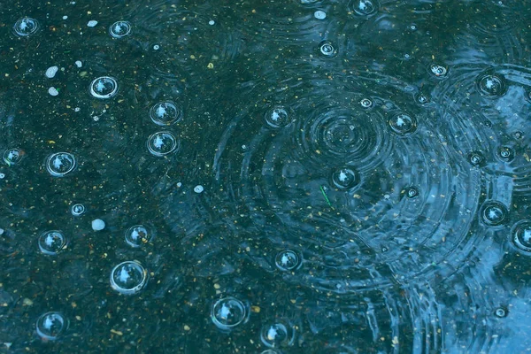 Голубой Фон Лужа Дождя Капли Дождя Круги Луже Пузырьки Воде — стоковое фото