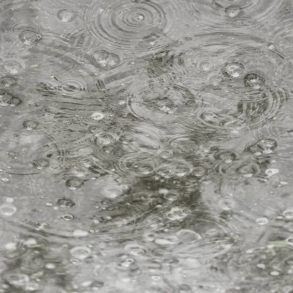 Fondo Charco Lluvia Círculos Gotas Charco Textura Con Burbujas Agua —  Fotos de Stock