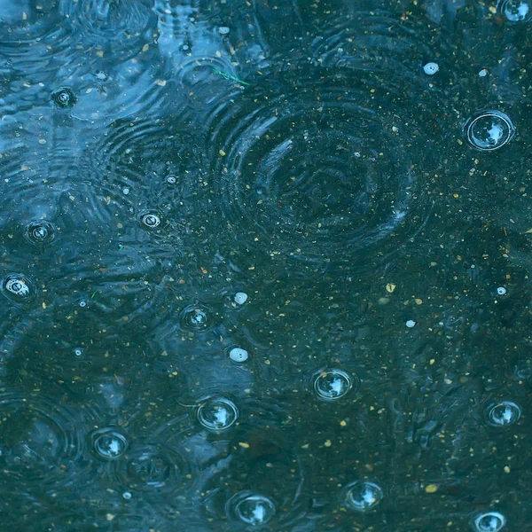 Charco Fondo Azul Lluvia Gotas Lluvia Círculos Charco Burbujas Agua —  Fotos de Stock