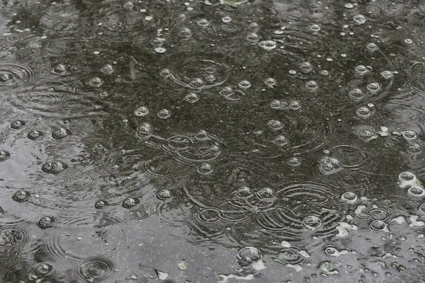 Tło Kałuża Deszcz Kręgi Krople Kałuży Tekstury Bąbelkami Wodzie Jesień — Zdjęcie stockowe