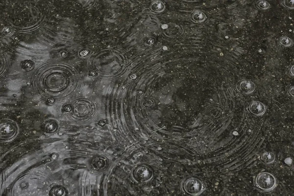 Fundo Poça Chuva Círculos Gotas Uma Poça Textura Com Bolhas — Fotografia de Stock