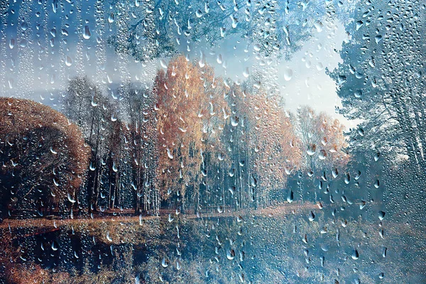 rain window autumn park branches leaves yellow / abstract autumn background, landscape in a rainy window, weather October rain