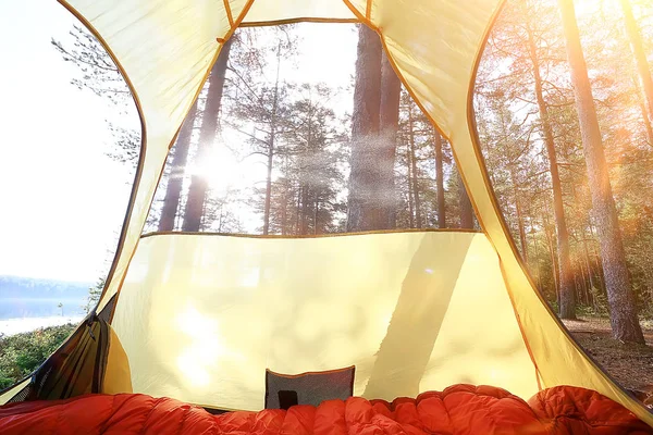 Tente Touristique Intérieur Forêt Été Vacances Été Dans Forêt Tente — Photo