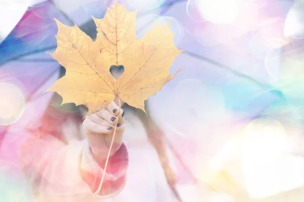 Herbstblatt Geschenk Ahorn Gelb Herz Aus Blatt Konzept Herbstlook Liebe — Stockfoto