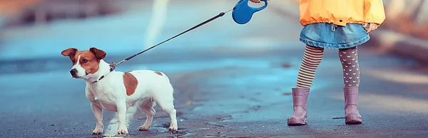 Kleines Mädchen Mit Hund Jack Russell Terrier Kind Kindheit Freundschaft — Stockfoto