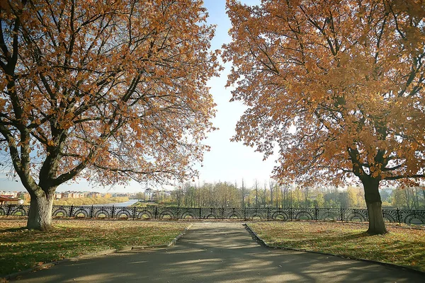 Paysage Automne Dans Parc Paysage Jaune Saisonnier Parc Ensoleillé Avec — Photo