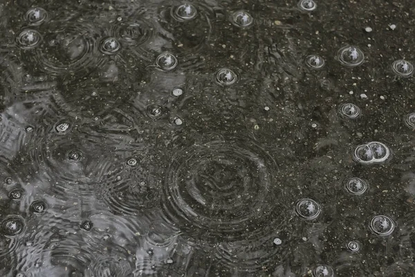 Fundo Poça Chuva Círculos Gotas Uma Poça Textura Com Bolhas — Fotografia de Stock