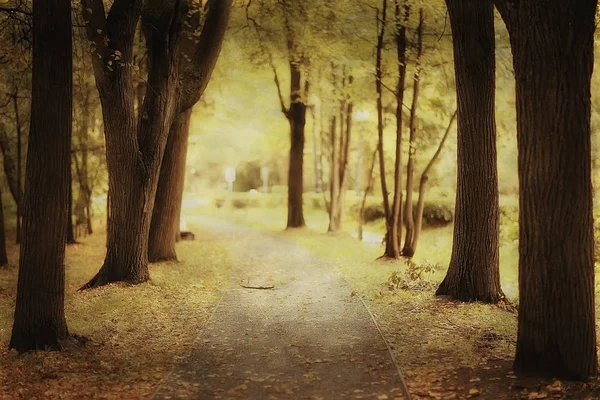 Landskap Höst Parken Concept Nature Säsongs Landskap Säsong Höst Skog — Stockfoto