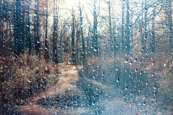 雨窗秋园枝叶黄 抽象秋底 风景在雨窗 天气十月雨 — 图库照片