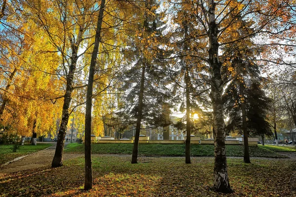 Niewyraźne Jesienne Tło Park Żółte Tapety Jesienny Las Koncepcja Krajobrazu — Zdjęcie stockowe