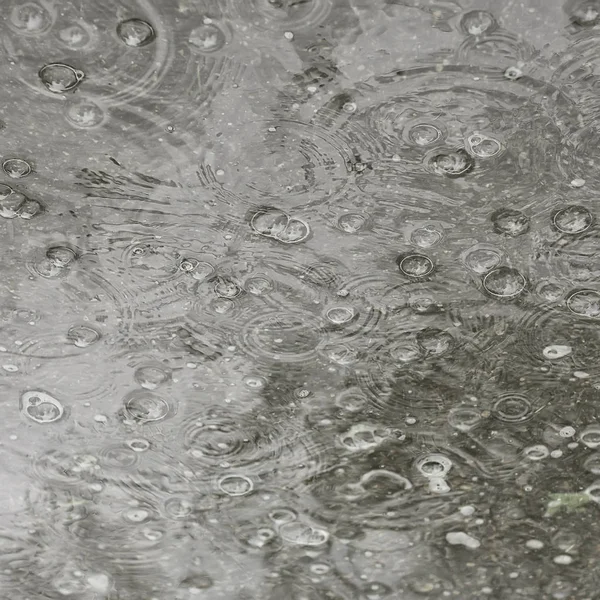 Achtergrond Plas Regen Cirkels Druppels Een Plas Textuur Met Bubbels — Stockfoto