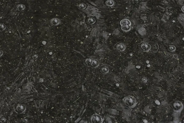 Bakgrund Pöl Regn Cirklar Och Droppar Pöl Textur Med Bubblor — Stockfoto