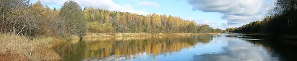 Осенний Лес Север Пейзаж Осеннем Лесу Северный Вид Природу Осенний — стоковое фото