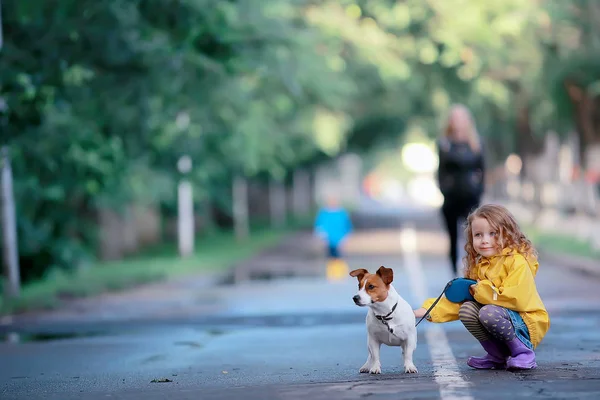 犬ジャックラッセルテリア 子供の子供時代の友情 ペット 秋の公園の散歩で小さな犬を持つ小さな女の子 — ストック写真