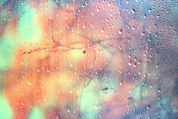 Regen Fenster Herbst Park Zweige Blätter Gelb Abstrakt Herbst Hintergrund — Stockfoto