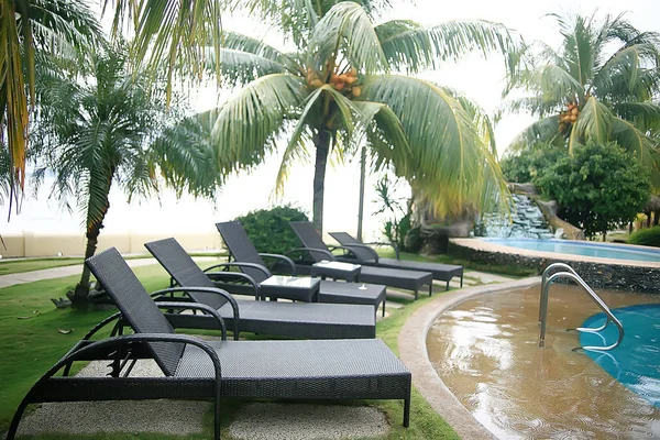 Tumbonas Del Hotel Piscina Descanso Hotel Tropical Descanso Cómodo Recreación —  Fotos de Stock