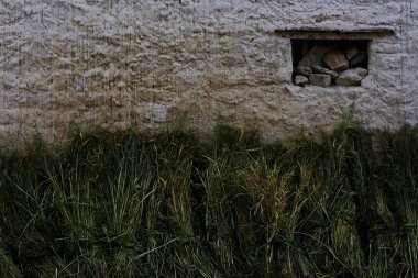 yeşil çim arka plan / soyut arka plan, doğa, taze yeşil bitki örtüsü, alan