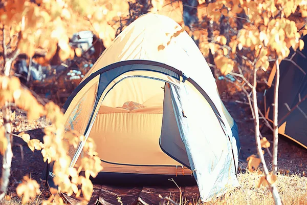 Barraca Turística Dentro Floresta Verão Férias Verão Floresta Tenda Vista — Fotografia de Stock