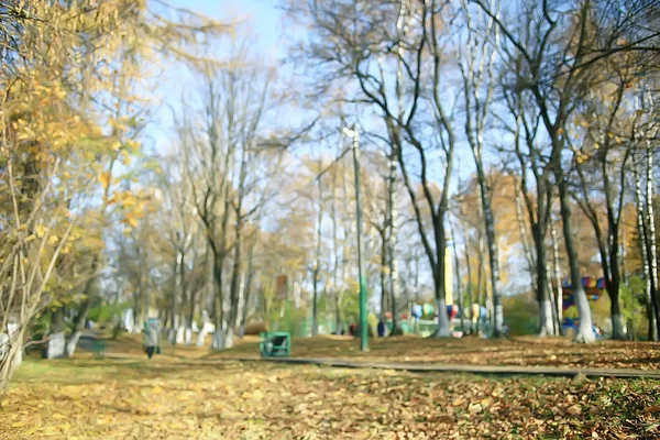 Желтые Листья Боке Сезонный Фон Красивые Осенние Листья Желтые Ветви — стоковое фото