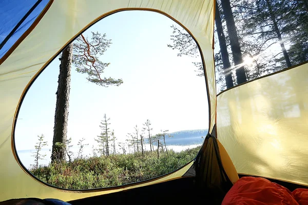 Туристическая Палатка Внутри Летнего Леса Летний Отдых Лесу Палатка Видом — стоковое фото