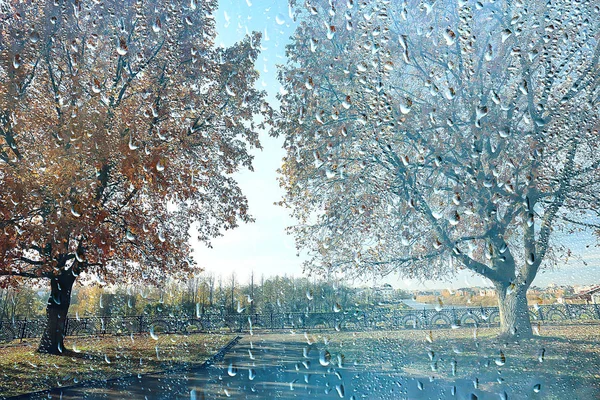 Finestra Pioggia Autunno Parco Rami Foglie Giallo Astratto Autunno Sfondo — Foto Stock