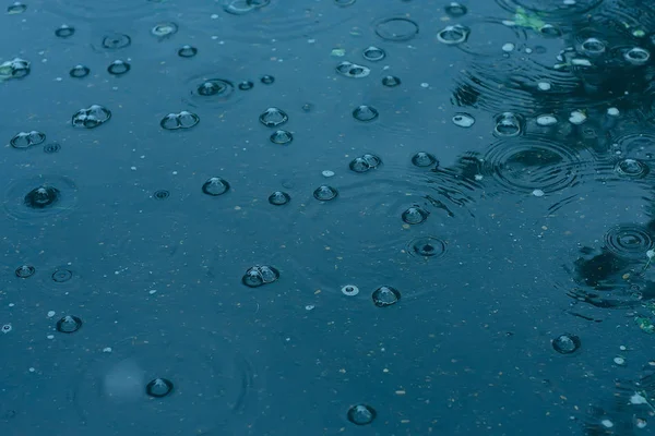 Blå Bakgrund Pöl Regn Regndroppar Cirklar Pöl Bubblor Vattnet Vädret — Stockfoto
