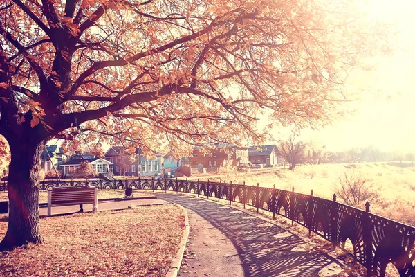 秋の公園の太陽の風景 黄色い公園の季節の秋の風景 10月の日没時の太陽の光 — ストック写真