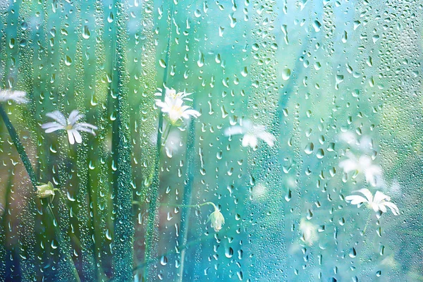 Summer Rain Wet Glass Abstract Background Landscape Rainy Day Window — Stock Photo, Image