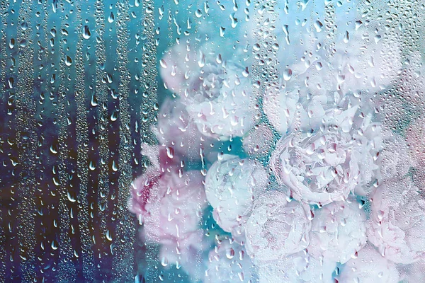 Букет Розовых Пионов Концептуальный Подарок Красивые Цветы Пионы Дома Летний — стоковое фото