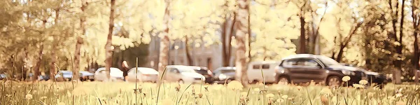 Поле Одуванчиков Пригороде Поле Летнего Ландшафта Желтыми Цветами — стоковое фото