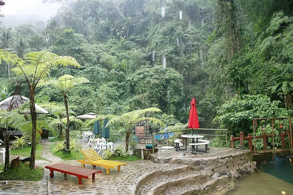 Paisaje Bosque Verano Árboles Verdes Vista Verano Senderismo Bosque Día — Foto de Stock