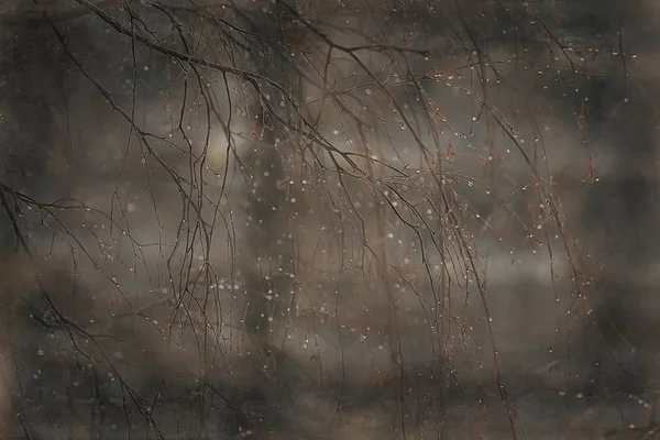 雨天滴 雨天コンセプト 抽象的な滴とウォータージェット 秋の雨 — ストック写真