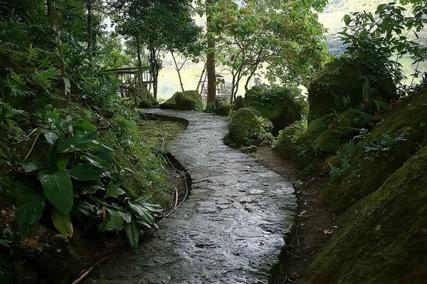 Paisagem Parque Verão Vista Sazonal Árvores Verdes Verão Conceito Natureza — Fotografia de Stock