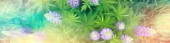 Картина, постер, плакат, фотообои "волчанка в поле / летние цветы фиолетовые дикие цветы, природа, ландшафт в поле летом
", артикул 309932940