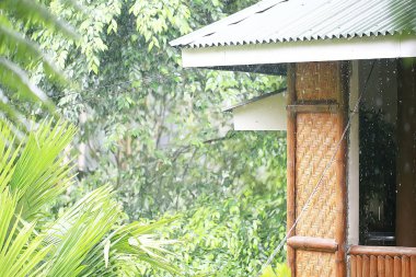 otel şezlong havuzu / tropikal otelde dinlenme, rahat dinlenme, rekreasyon